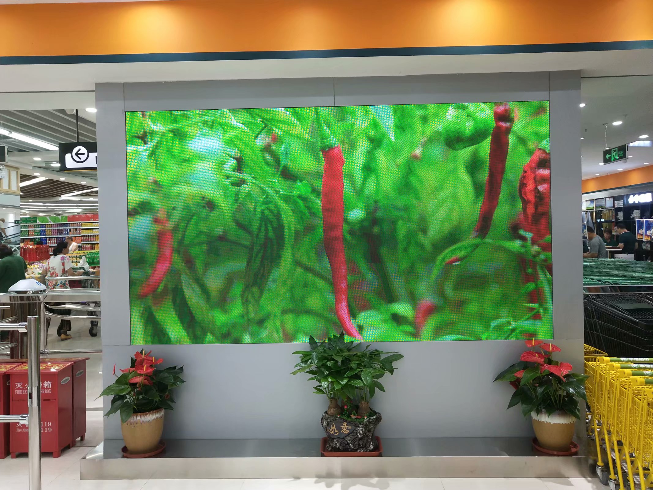 <a href=http://www.chzys.com target=_blank class=infotextkey>led顯示屏</a> <a href=http://www.chzys.com target=_blank class=infotextkey>led顯示屏</a>