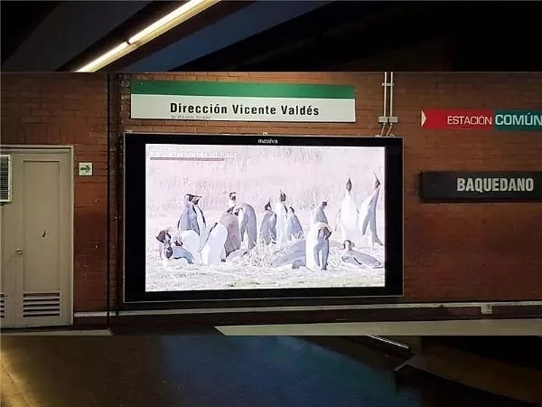 這些<a href=http://www.chzys.com target=_blank class=infotextkey>led屏</a>就一個字 3.webp.jpg 這些<a href=http://www.chzys.com target=_blank class=infotextkey>led屏</a>就一個字 3.webp.jpg